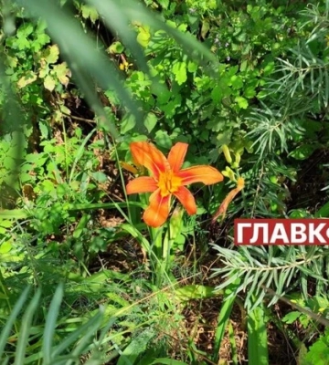 В Україні без опадів: погода на 13 серпня