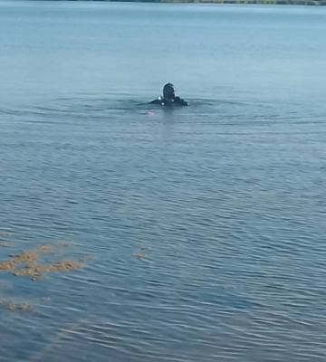 У водоймі на Львівщині знайшли тіло 39-річного киянина