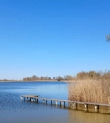 У селі на Волині небайдужих кличуть на толоку біля озера