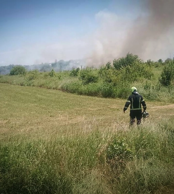 Понад 1 тис. пожеж в екосистемах загасили з початку року на Закарпатті