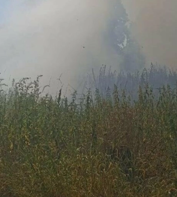 28 пожеж сухої трави за добу: вогнеборці Львівщини борються з підпалами