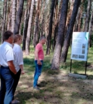 На Волині облаштовують нову екостежку «Сосновий бір»