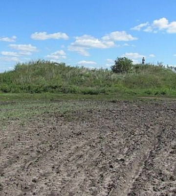 Скіфське городище віддали під фермерське господарство в Харківській області