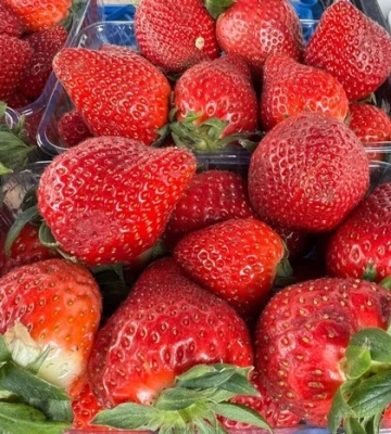 Продовольчі ярмарки у Києві 5-6 липня: де можна придбати фермерські продукти
