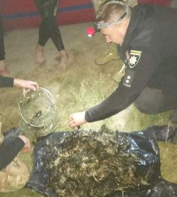 Наловив на тюрму: під Миколаєвом молодик витяг з річки раків на 830 тисяч