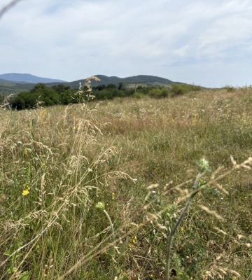 За вихідні в горах на Закарпатті надали допомогу сімом туристам