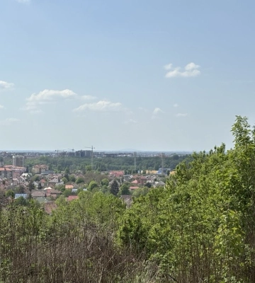 На Закарпатті на 19% зріс попит на новобудови