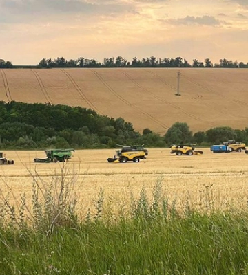 В Ольгопіль жнива стартували з експериментальної культури