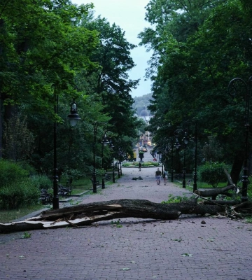 Пошкоджено десятки дерев, замикання в електромережах - Садовий про стихію у Львові