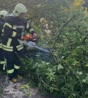 У Луцьку на Відродження авто збило чоловіка