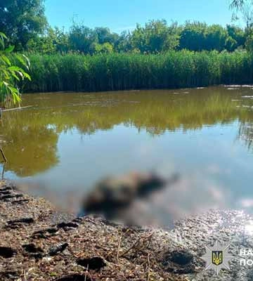 В Лубенському районі у ставку виявлено тіло чоловіка без ознак життя
