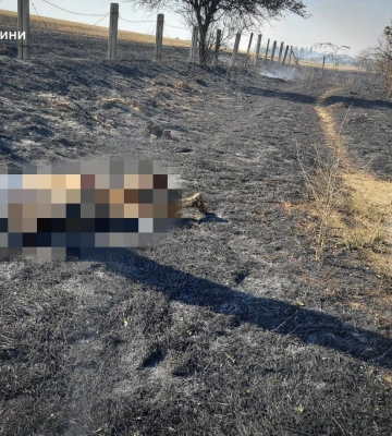 На Одещині під час гасіння пожежі загинула жінка