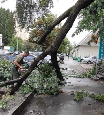 66 населених пунктів залишилися без світла: наслідки негоди на Тернопільщині