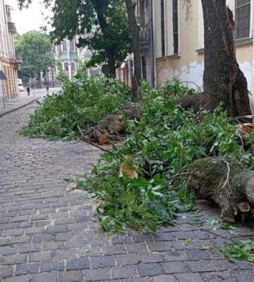 Через негоду на Львівщині знеструмлені понад 200 населених пунктів