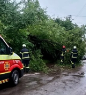 У Луцькій громаді рятувальники ліквідовували наслідки негоди