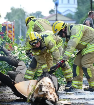 На Закарпатті рятувальники прибрали 22 дерева, що впали внаслідок вечірнього буревію (ФОТО)