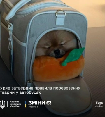 Історична подія для власників пухнастиків! Закарпатська ОВА повідомляє