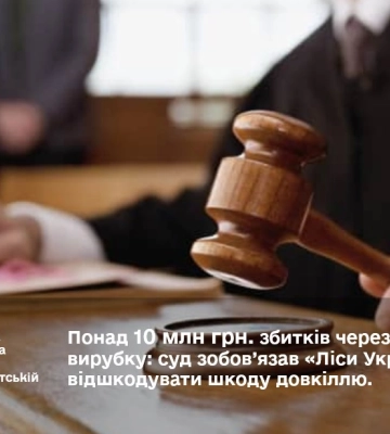 Незаконна вирубка на Свидовці обійдеться лісгоспу в понад 10 мільйонів гривень