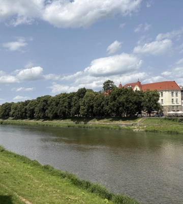 В Ужгороді на 1 вересня кілька шкіл отримали повідомлення про замінування
