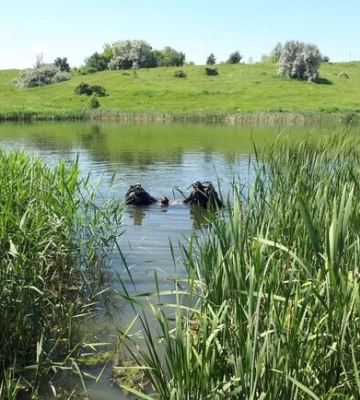 Спасатели достали из воды тело мужчины – подробности от ГСЧС