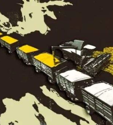 У Миколаєві викрили схему ухилення від податків на експорті сої