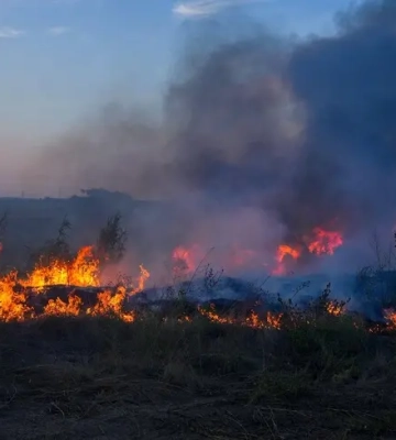 В Одеській області спалахнули масштабні пожежі: загинула жінка, троє людей постраждали