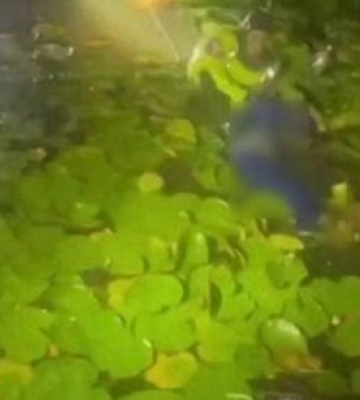 У ковельській річці втопився дідусь