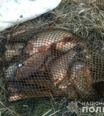 Харків’яни рибалять попри заборону: порушників штрафують патрулі