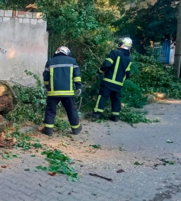 У Чернівцях та області рятувальники прибирали з дороги повалені дерева