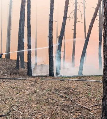 На Харківщині заборонено відвідувати ліси через спеку