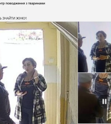 У Харкові розшукують жінку, яка кинула напризволяще породистого собаку