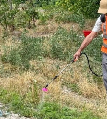 У Дніпрі продовжують комплексну боротьбу з амброзією: як подати заявку на обробку проблемних ділянок У Дніпрі продовжують комплексну боротьбу з амброзією: як подати заявку на обробку проблемних ділянок