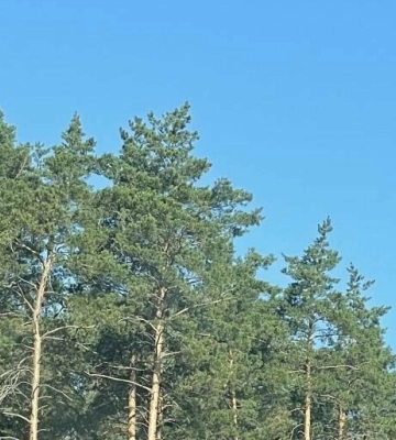 На Полтавщині прогнозують до 29 градусів спеки