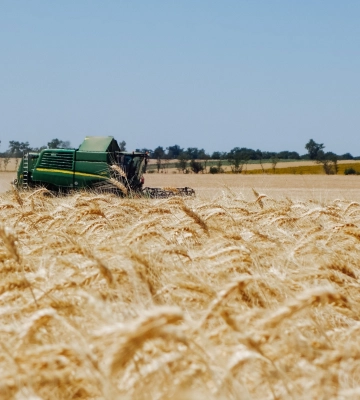Жнива-2025: Полтавська область підбила підсумки збирання ранніх культур