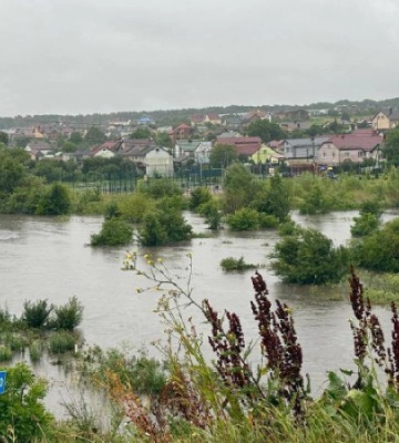 Біля Львова з русел вийшли дві річки, підтоплені населені пункти