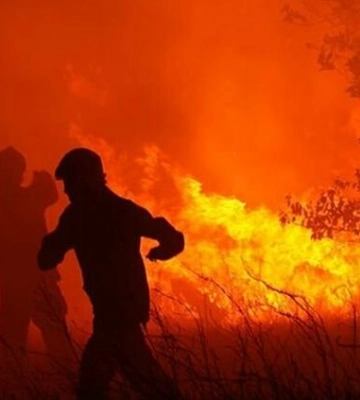 Лісова пожежа знеструмила понад 150 споживачів на Полтавщині