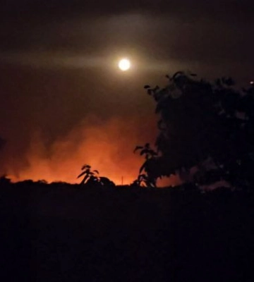 Пожежа на Полтавщині знищила понад 90 гектарів лісу та завдала шкоди сільському господарству