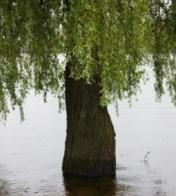 Волинь заллє – у річках прогнозують підвищення рівнів води