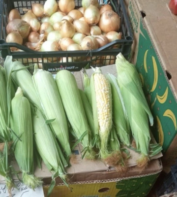 На ринку у Луцьку вже продають молоду кукурудзу: яка ціна