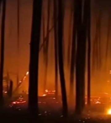 На Полтавщині горіли 90 гектарів лісу