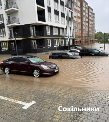 У Львові 115% місячної норми дощу