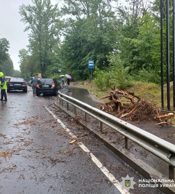 Під Львовом дерево впало на BMW під час руху: постраждала 17-річна пасажирка