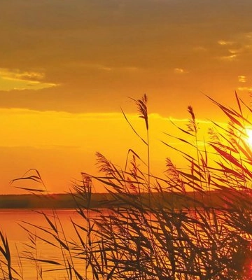Погода в Одесі у п&#039;ятницю: синоптики прогнозують до +29°C та ясне небо