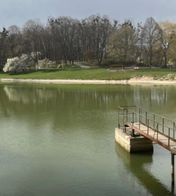 Піскове озеро у Львові катастрофічно втрачає воду. Запланували операцію з порятунку