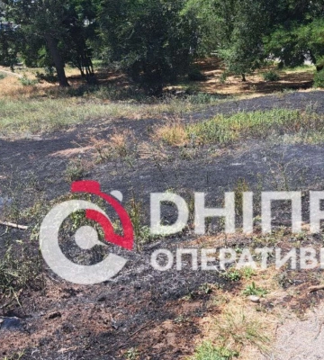 В Днепре на Левобережном возле жилых домов возник пожар