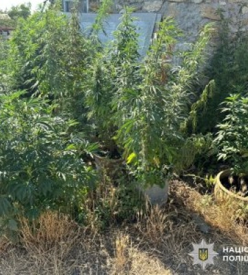 У Миколаївському районі поліцейські затримали чоловіка за підозрою у незаконному обігу наркотиків