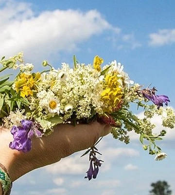 Погода в Одесі на суботу: синоптики обіцяють +31°C та ясне небо для ідеального відпочинку