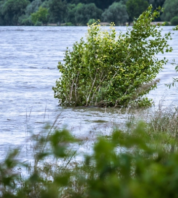 Попередження про подальше підвищення рівня води