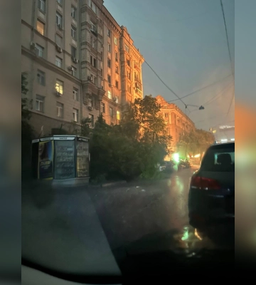 Дерева падали на людей, на вулицях хаос: Харків накрила смертельна негода. Відео Дерева падали на людей, на вулицях хаос: Харків накрила смертельна негода. Відео