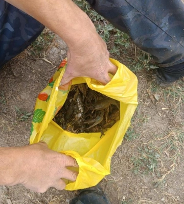 На річці в Одеській області спіймали браконьєра